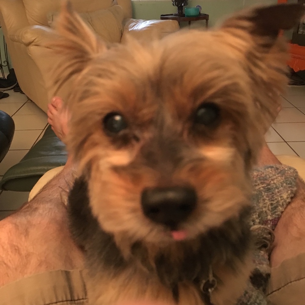 Meet your Posher, Kathy